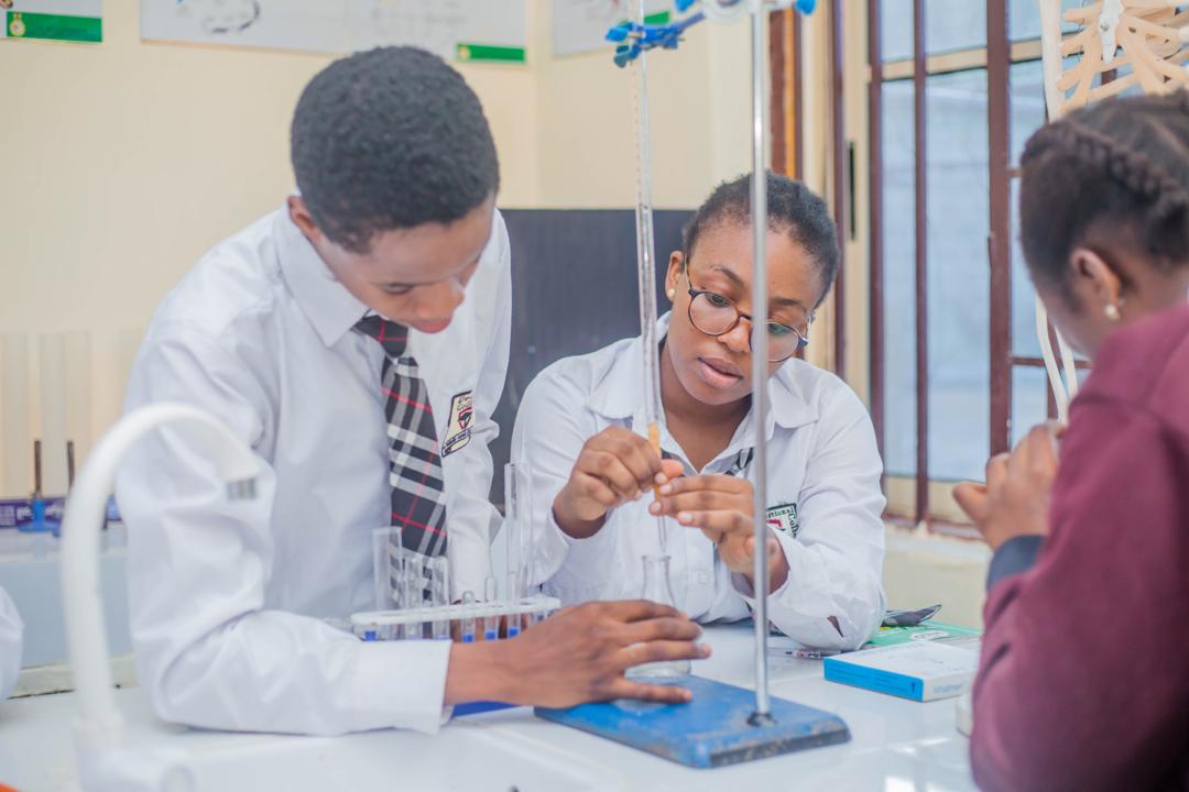 WhatsApp Image 2024-09-18 at 7.29.07 PM (1)