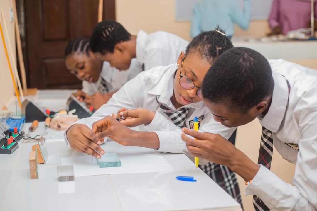 WhatsApp Image 2024-09-18 at 7.29.08 PM (1)